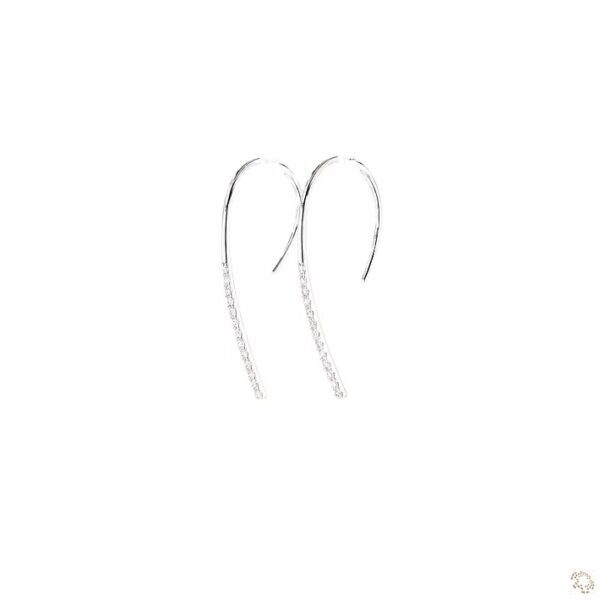 img_7218 Hook Hoops