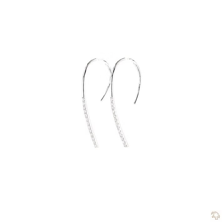 img_7218 Hook Hoops
