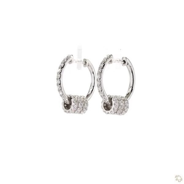 img_7221 Inlaid Ring Hoops