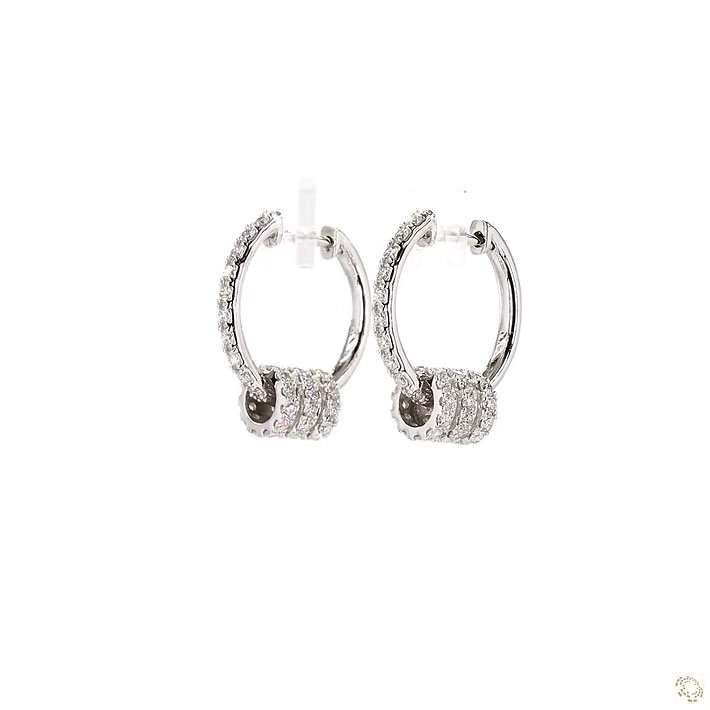 img_7221 Inlaid Ring Hoops