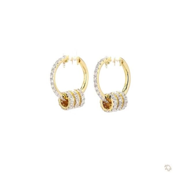 img_7223 Inlaid Ring Hoops